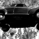 Illustration for article titled Murilees Movie Car Hall Of Fame